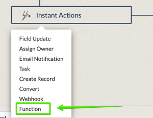 Linking Leads With Accounts and Accounts With Multiple Locations 13 Select Functions
